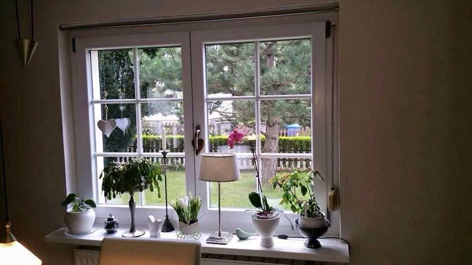 Fenster Referenzprojekt